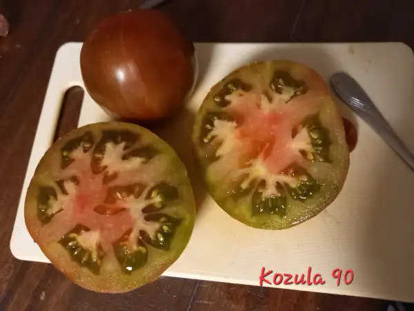 Tomaten: KOZULA 90