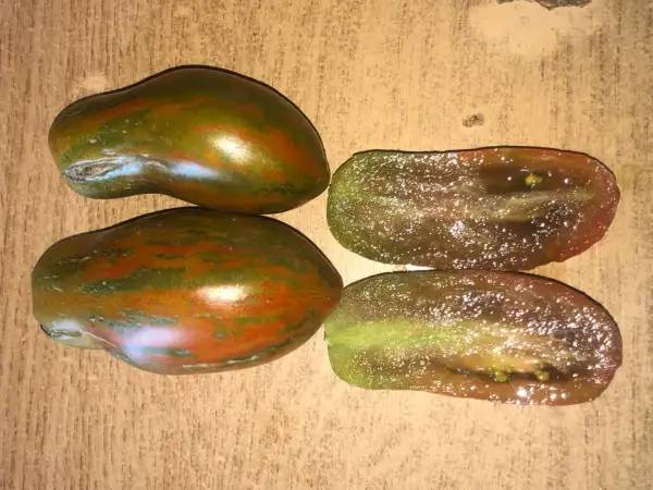 Tomaten: Kozula #90