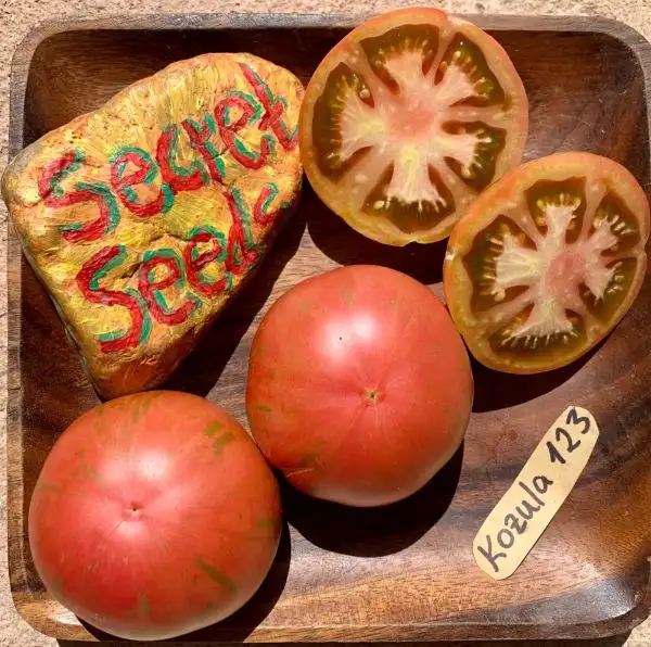 Tomaten: Kozula K123