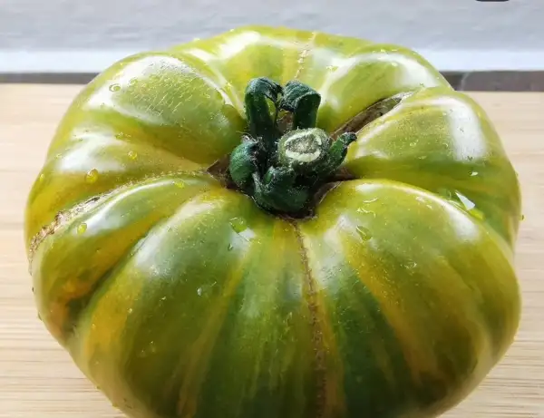 Tomaten: Kozula179