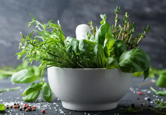 Kräuter: Kräuter der Provence Mix