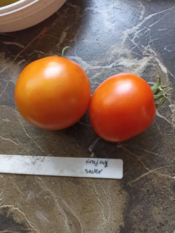 Tomaten: Krajnij Sever