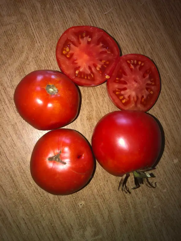 Tomaten: Kremlevskie Kuranty