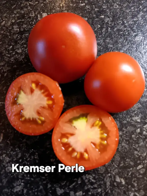 Tomaten: Kremser Perle
