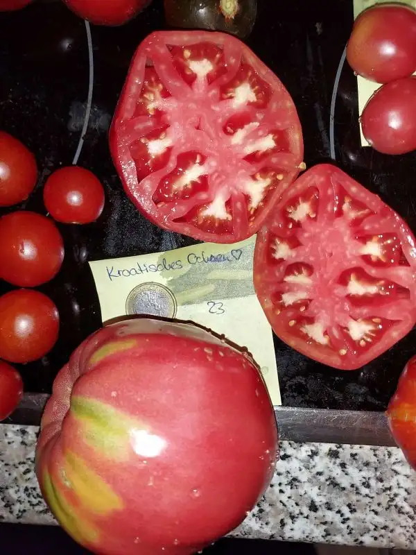 Tomaten: Kroatisches Ochsenherz