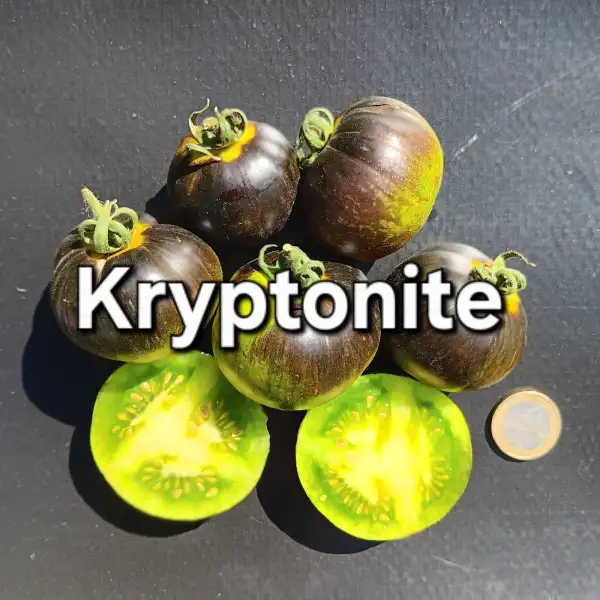 Tomaten: Kryptonite