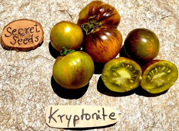 Tomaten: Kryptonite