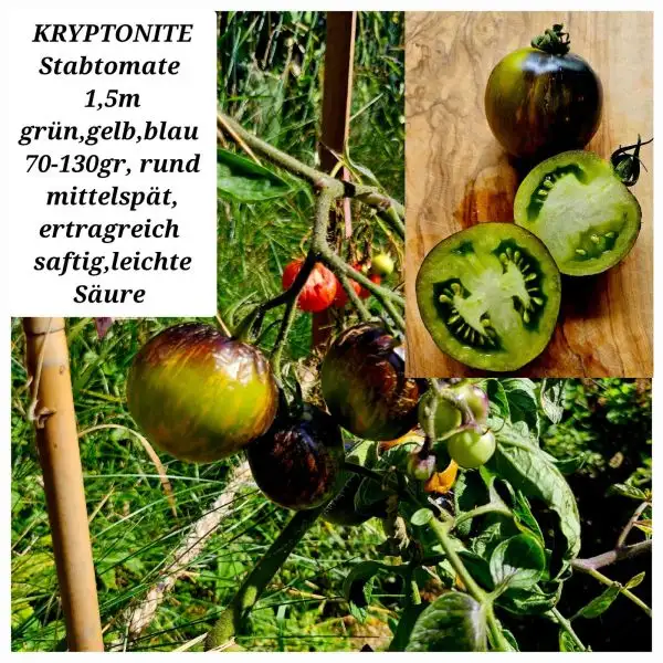 Tomaten: Kryptonite