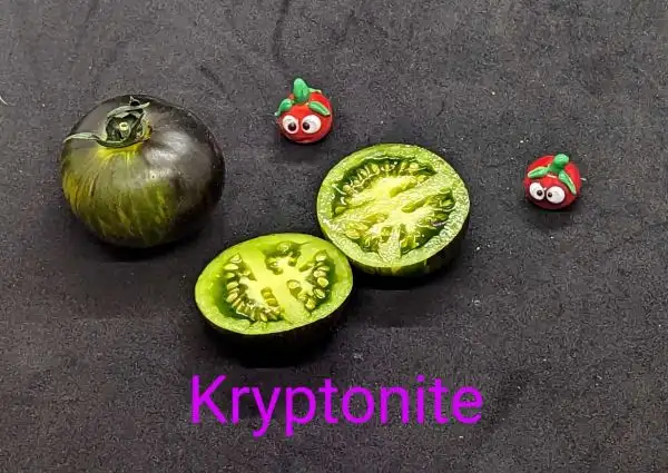 Tomaten: Kryptonite