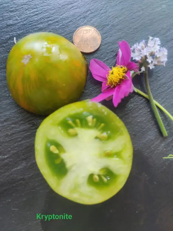 Tomaten: Kryptonite Dwarf