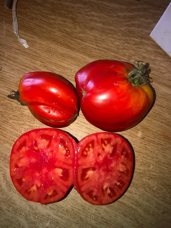 Tomaten: Kubanskie