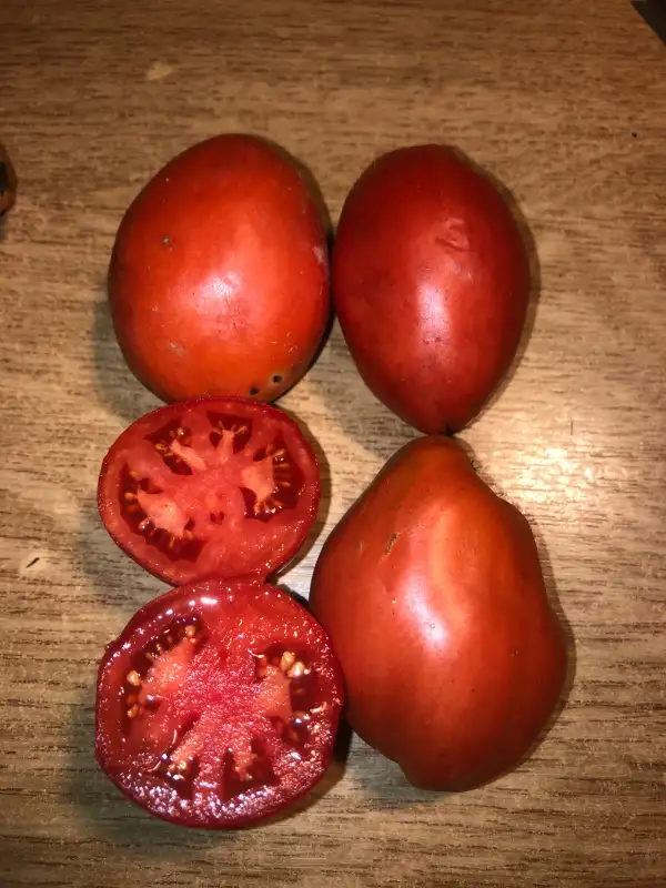 Tomaten: Kubanskie Slivi