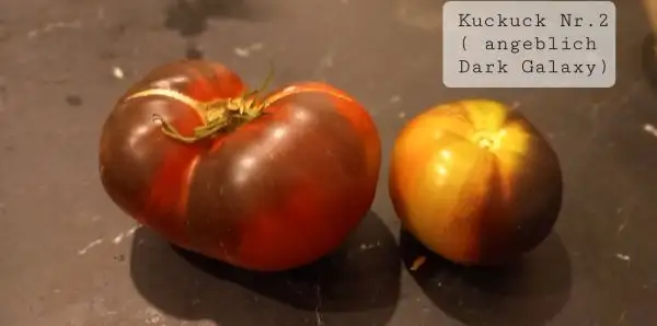 Tomaten: Kuckuck Fleischtomate rot-schwarz