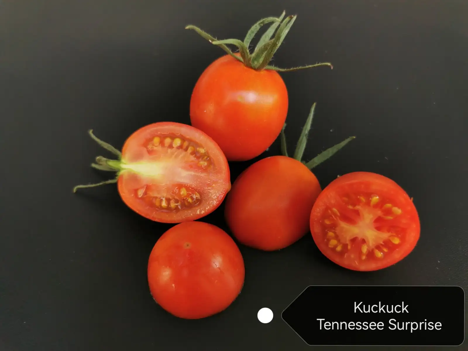 Tomaten: Kuckuck Tennesse Surprise