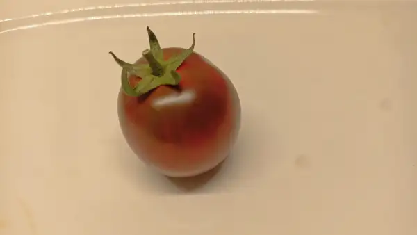 Tomaten: Kumato