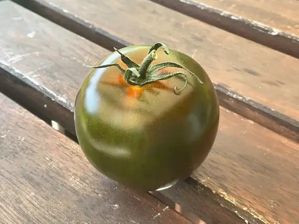 Tomaten: Kumato