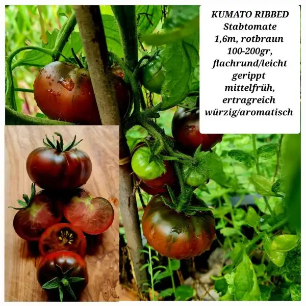 Tomaten: KUMATO RIBBED