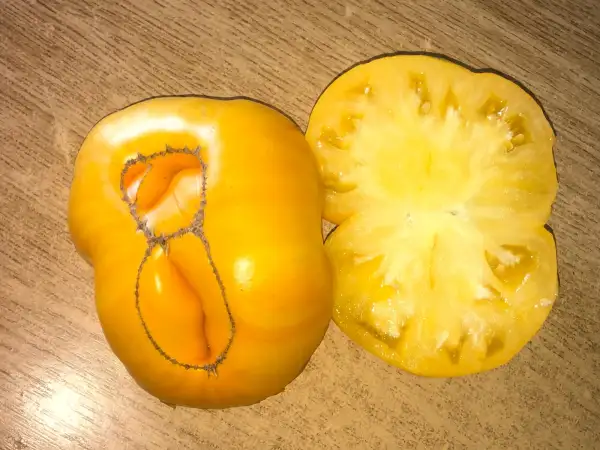 Tomaten: Kurskiye Zheltyye