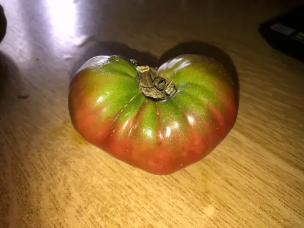 Tomaten: Léon Noir