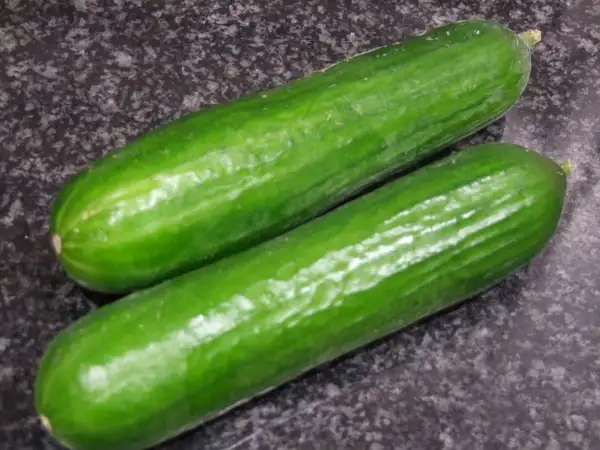 Gurken: La Diva - Mini Gurke