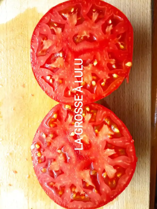 Tomaten: La Grosse à Lulu