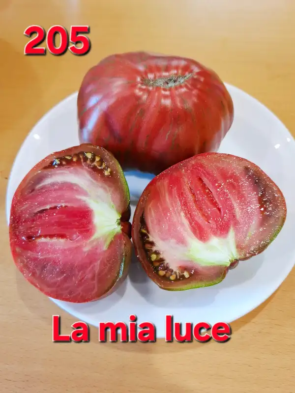 Tomaten: La mia luce