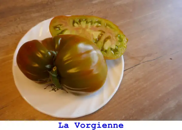 Tomaten: La Vorgienne