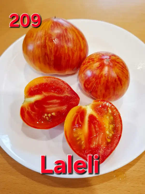 Tomaten: Laleli