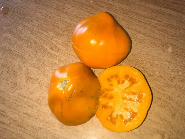 Tomaten: Lampe d