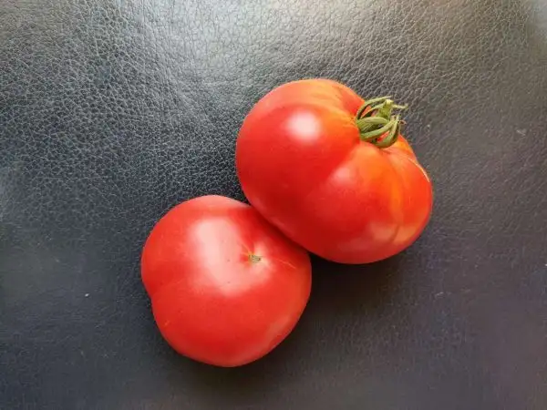 Tomaten: Large Pink Stripe