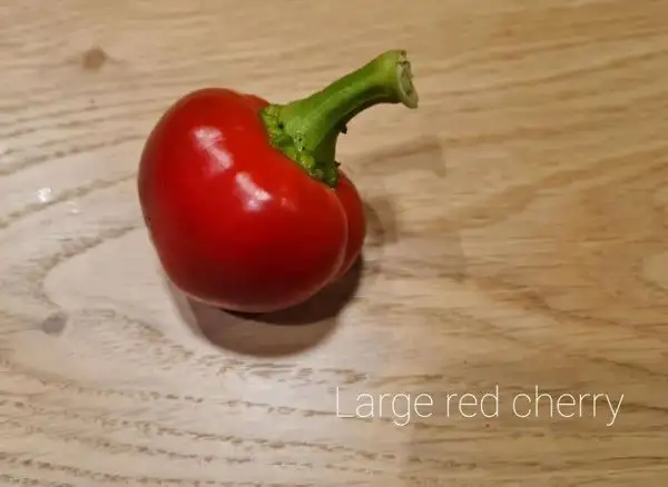 Chili / Paprika: Large red cherry