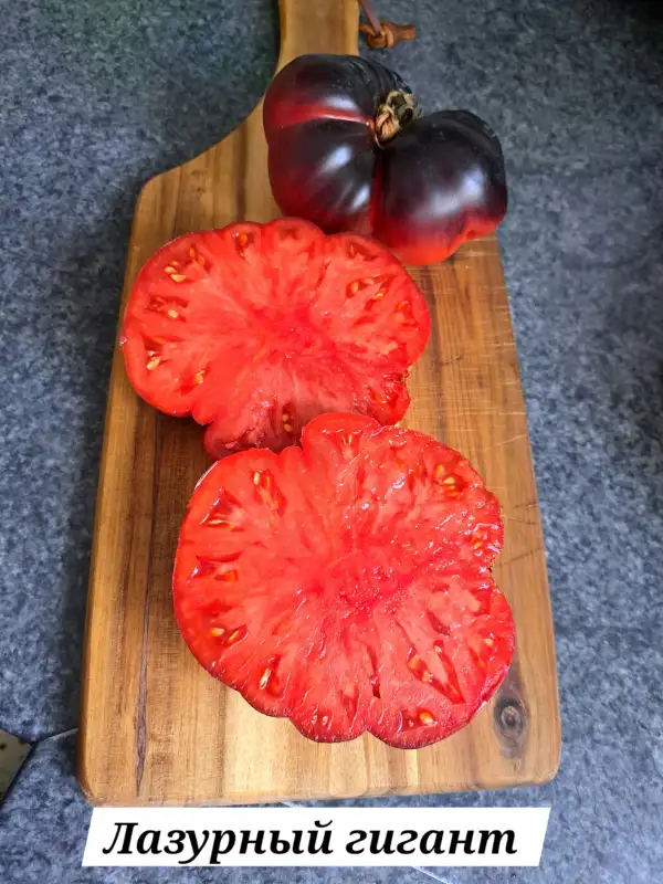 Tomaten: Lasurnyj Gigant