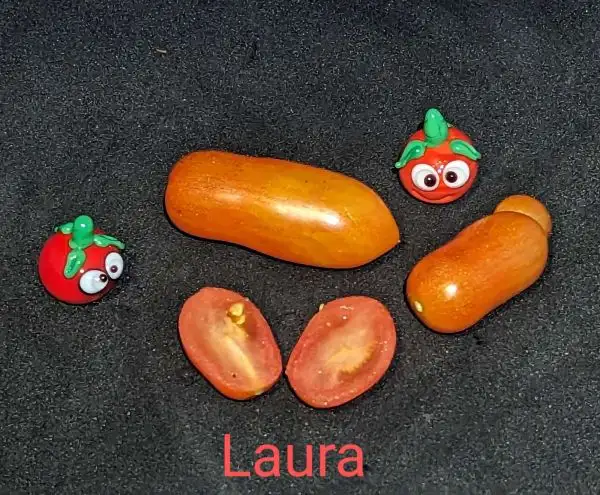 Tomaten: Laura