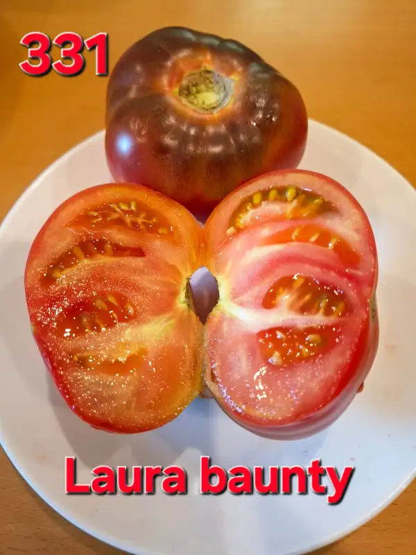 Tomaten: Laura baunty