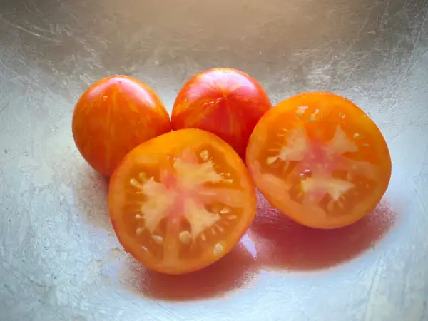 Tomaten: Lava Flow