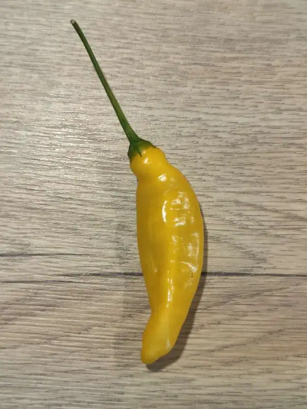 Chili / Paprika: Lemon Drop