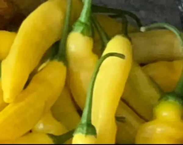 Chili / Paprika: Lemon Drop Ecuador