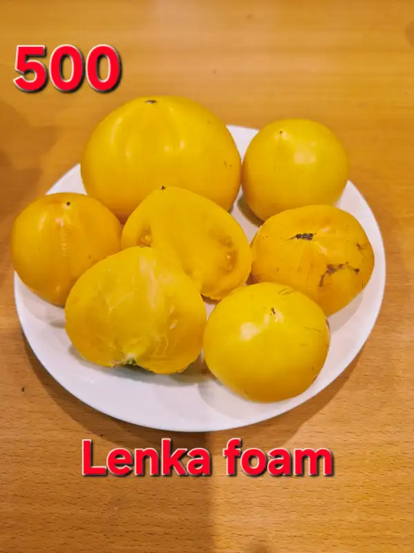 Tomaten: Lenka foam