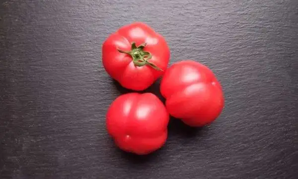 Tomaten: Liberty Bell