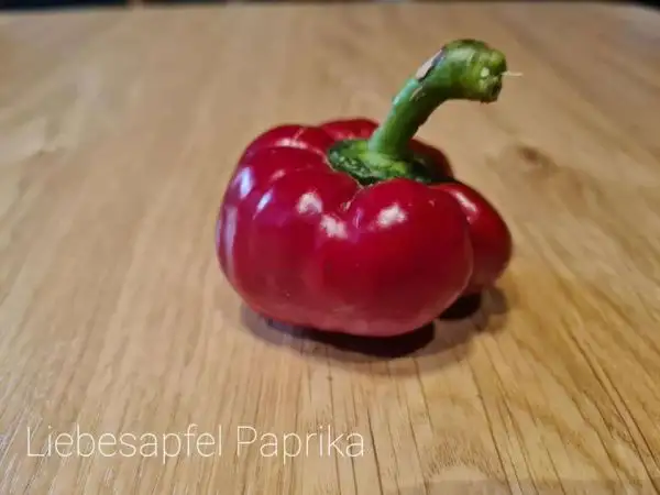 Chili / Paprika: Liebesapfel Paprika