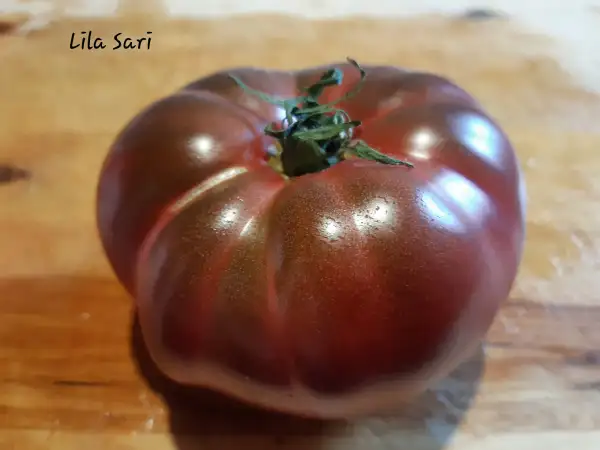 Tomaten: Lila Sari