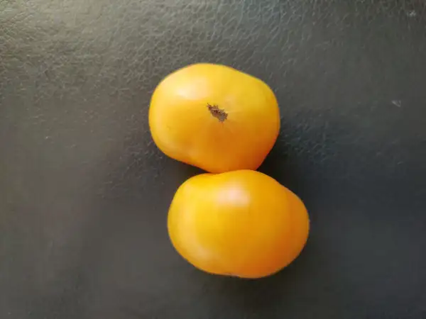 Tomaten: Lillian’s Yellow Heirloom