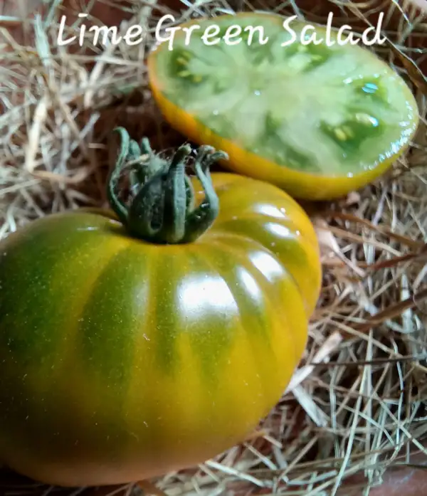 Tomaten: Lime Green Salad