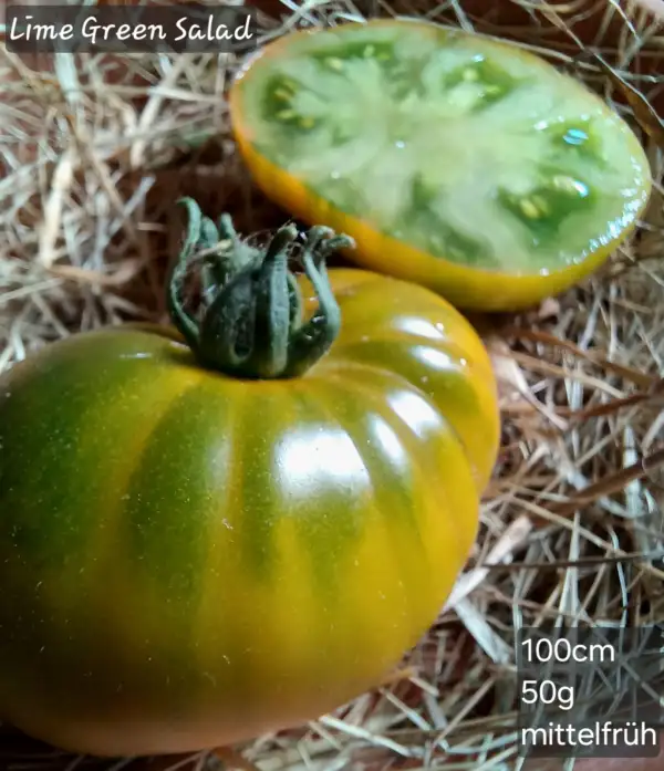 Tomaten: Lime Green Salad