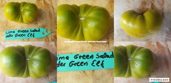 Tomaten: Lime Green Salad