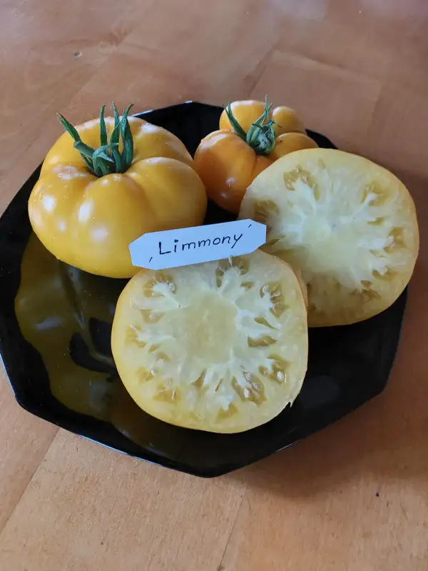 Tomaten: Limmony