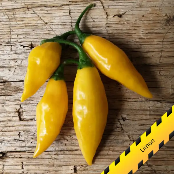 Chili: Limon