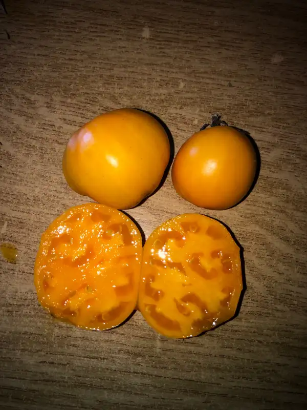 Tomaten: Limon Alma-Ata