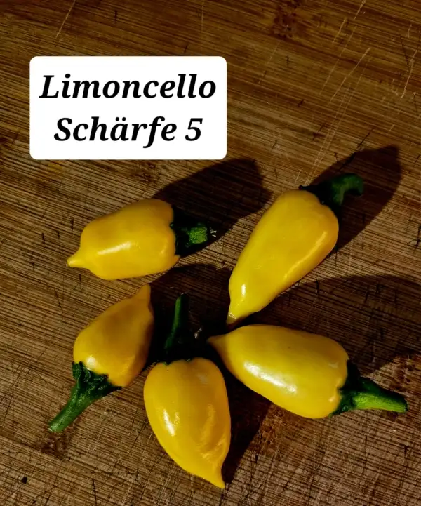 Chili / Paprika: Limoncello