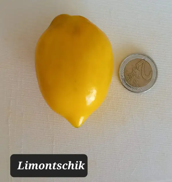 Tomaten: Limontschiki